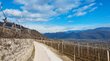 Traumurlaub in den Hotels in Tramin Weinberge an einem sonnigen Tag mit blauem Himmel und Bergblick