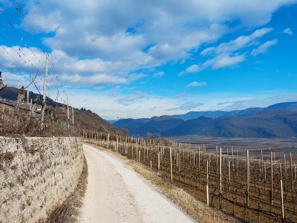 Traumurlaub in den Hotels in Tramin Weinberge an einem sonnigen Tag mit blauem Himmel und Bergblick
