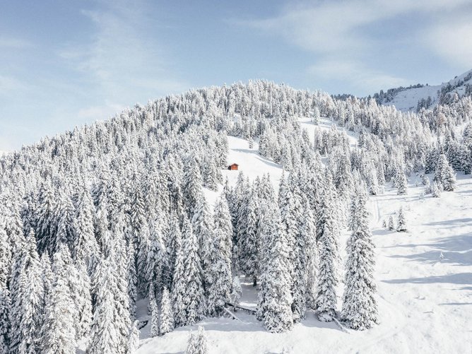 Piz Sesvenna (3204 m.s.l.m.) Foresta innevata su una collina con una piccola baita di legno