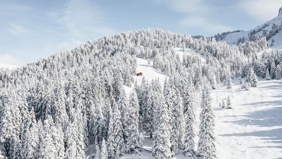 Skitour Zendleser Kofel Verschneiter Wald auf einem Hügel mit einer kleinen Holzhütte