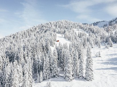 Skihochtour Ortlergruppe Verschneiter Wald auf einem Hügel mit einer kleinen Holzhütte