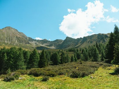 Erholung am Fennberger Hochplateau Erholung am Fennberger Hochplateau