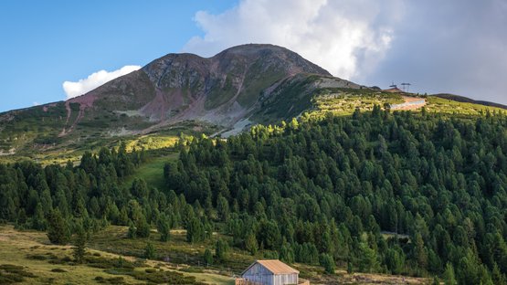 Das Lavazéjoch Berglandschaft mit Wald, Almwiese und einer kleinen Holzhütte im Tal
