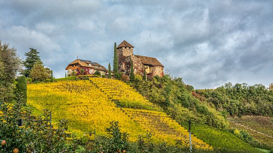 Castel Guardia: soggiornare in una fortezza Castello antico su collina con vigneti e meli sotto cielo nuvoloso