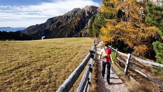 Hotels in Burgstall: der perfekte Ort für Genießer Frau wandert auf Bergweg zwischen Zaun und herbstlichen Bäumen