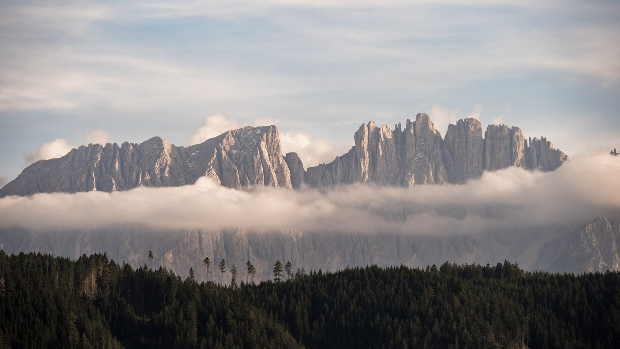 Der Karerpass Wald vor Bergkette mit Wolkenstreifen am Nachmittag