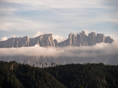 Die Alpenpässe in und um Südtirol Wald vor Bergkette mit Wolkenstreifen am Nachmittag