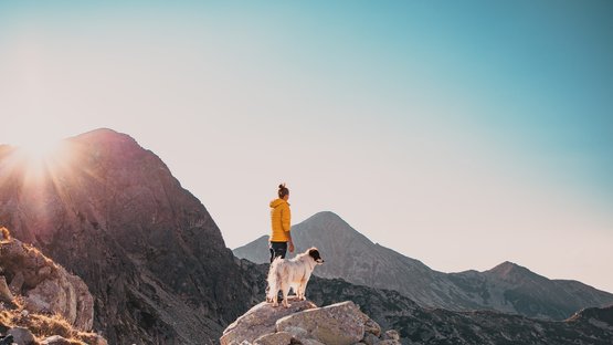 Hundehotels in Südtirol – hundefreundlicher Urlaub Person in gelber Jacke und Hund auf felsigem Berg mit Sonnenaufgang