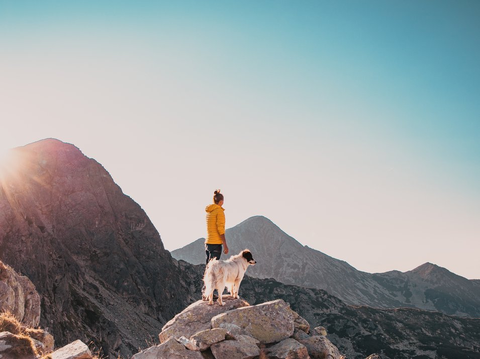 Hundehotels in Südtirol – hundefreundlicher Urlaub Person in gelber Jacke und Hund auf felsigem Berg mit Sonnenaufgang