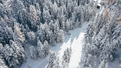 Passo Resia Veduta aerea di una foresta innevata con alcune case sparse in inverno