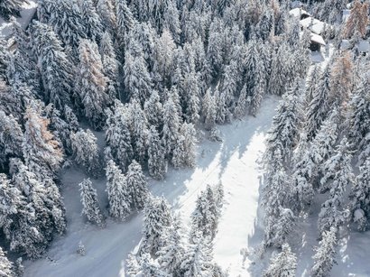 Pista panoramica Colle Isarco Veduta aerea di una foresta innevata con alcune case sparse in inverno
