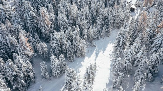 Strassener Möser Loipe Luftaufnahme eines schneebedeckten Waldes mit verstreuten Häusern im Winter