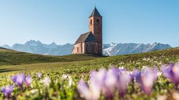 Hotels in St. Martin in Passeier: Ab in den Traumurlaub! Kirche auf grünem Hügel mit Frühlingsblumen und schneebedeckten Bergen im Hintergrund.