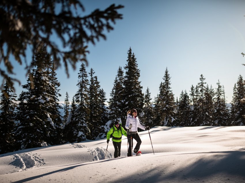 Hotel in Alto Adige 😎☀️ Per vacanze indimenticabili Due persone che fanno escursioni con racchette da neve in una foresta innevata al sole