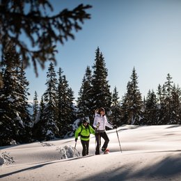 Drei Zinnen-Schneeschuhwanderung Zwei Personen machen Schneeschuhwandern im sonnigen, verschneiten Wald
