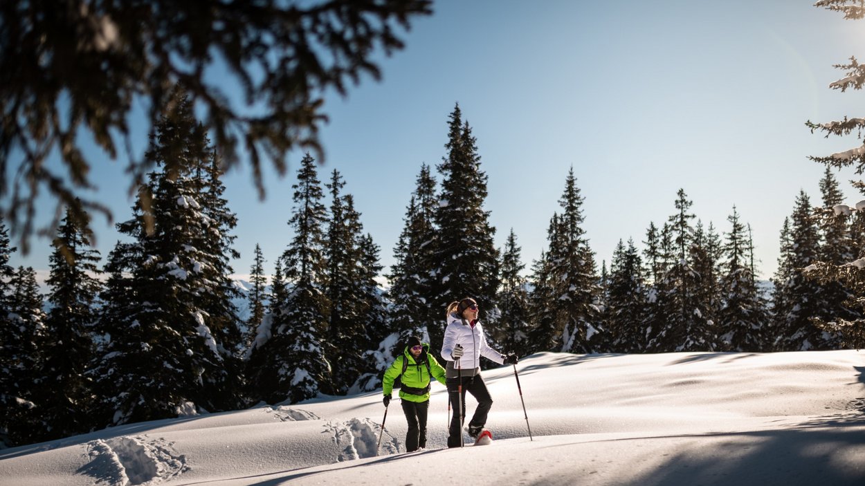 Schneeschuhwandern in Südtirol: Die Natur ruft! Zwei Personen machen Schneeschuhwandern im sonnigen, verschneiten Wald