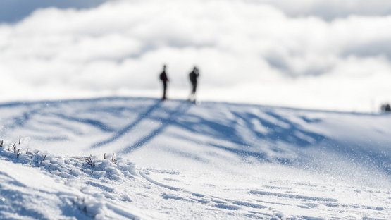 Winterwanderung von Steinhaus nach St. Johann Zwei Personen stehen auf einem schneebedeckten Hügel unter bewölktem Himmel