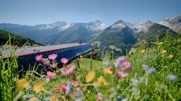 Hotel a Plan de Corones Prato fiorito davanti a stazione di funivia con montagne innevate sullo sfondo