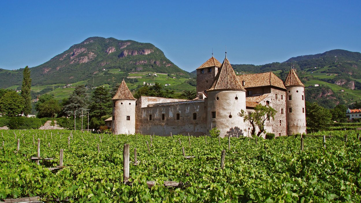 Schloss Maretsch in Bozen Schloss inmitten von Weinbergen vor Bergen unter klarem blauen Himmel