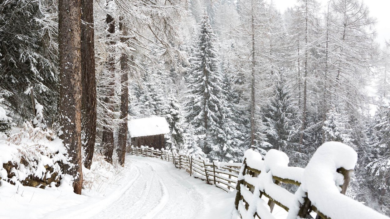 Winterwandern und Rodeln in Südtirol Verschneiter Waldweg mit Holzzaun und Hütte im Winter