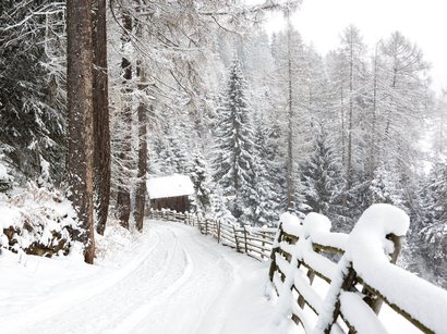 Pista da slittino Malga Geisler Sentiero innevato nel bosco con recinzione in legno e casetta