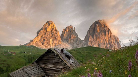 Idyllischer Urlaub in den Hotels in St. Christina Almhütte und Wildblumen vor einem Berg im Abendlicht
