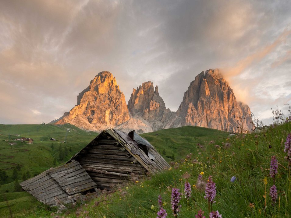Hotel a Santa Cristina in Val Gardena Baita e fiori selvatici con montagne illuminate dal tramonto
