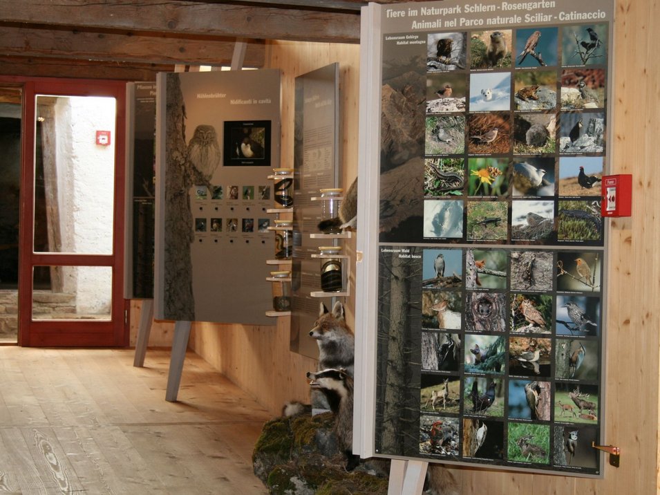 Centro visite Sciliar-Catinaccio Mostra sugli animali nel Parco Naturale Sciliar con immagini e esemplari tassidermici