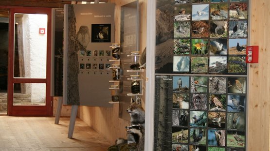 Centro visite Sciliar-Catinaccio Mostra sugli animali nel Parco Naturale Sciliar con immagini e esemplari tassidermici