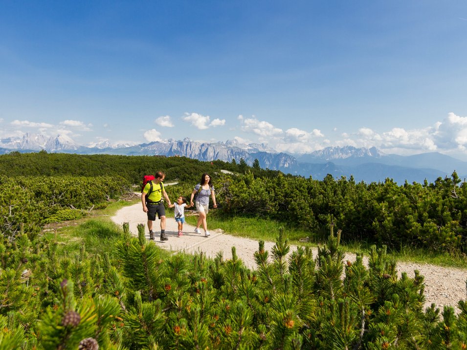 Hotel sul Renon in Alto Adige Famiglia che fa escursioni su un sentiero in montagna con cielo azzurro e vegetazione