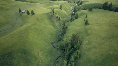 Punta Bianca Colline verdi con un piccolo ruscello e alberi sparsi e case