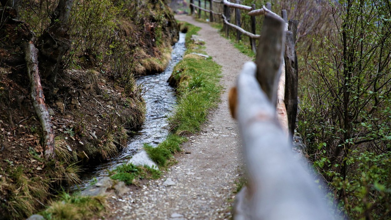 Hotels in Algund: Urlaub in Südtirol Wanderweg mit Holzzaun neben schmalem Wassergraben im Wald