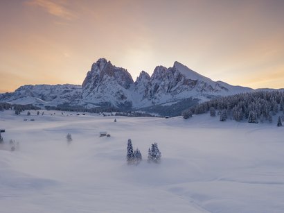 Höhenloipe Dorfberg Schneebedeckte Berge und Bäume bei Sonnenuntergang mit Nebel im Tal