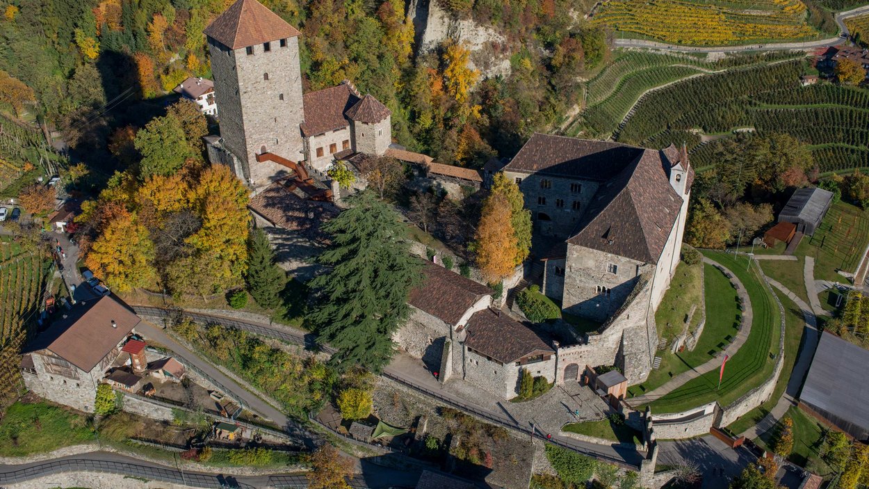 Rapaci a Merano e dintorni Rapaci a Merano e dintorni