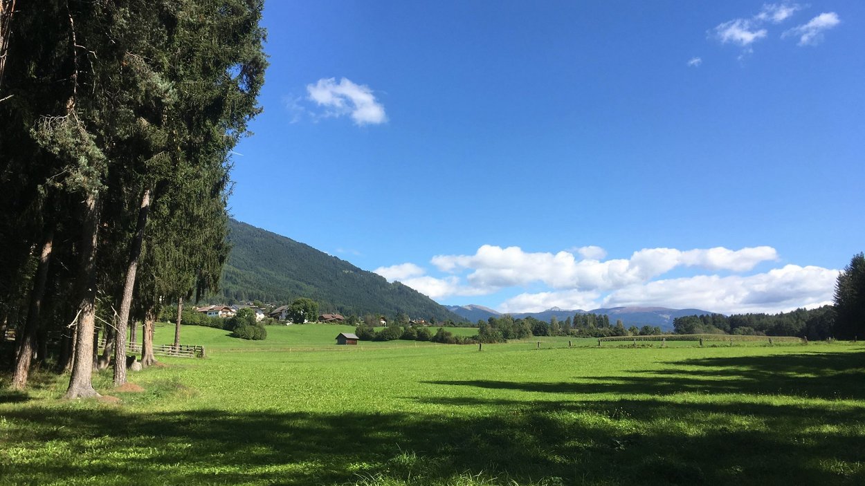 Hotel a Falzes sulla strada del sole in Val Pusteria Prato verde con alberi e montagne sotto un cielo azzurro