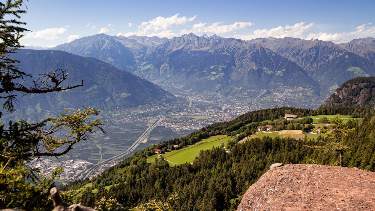 Le prelibatezze della Malga Penaud Paesaggio montano con vista sulla valle, foreste e montagne sullo sfondo