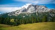Prato Piazza: un gioiello della Val Pusteria Prato verde con conifere davanti a montagne rocciose sotto cielo azzurro