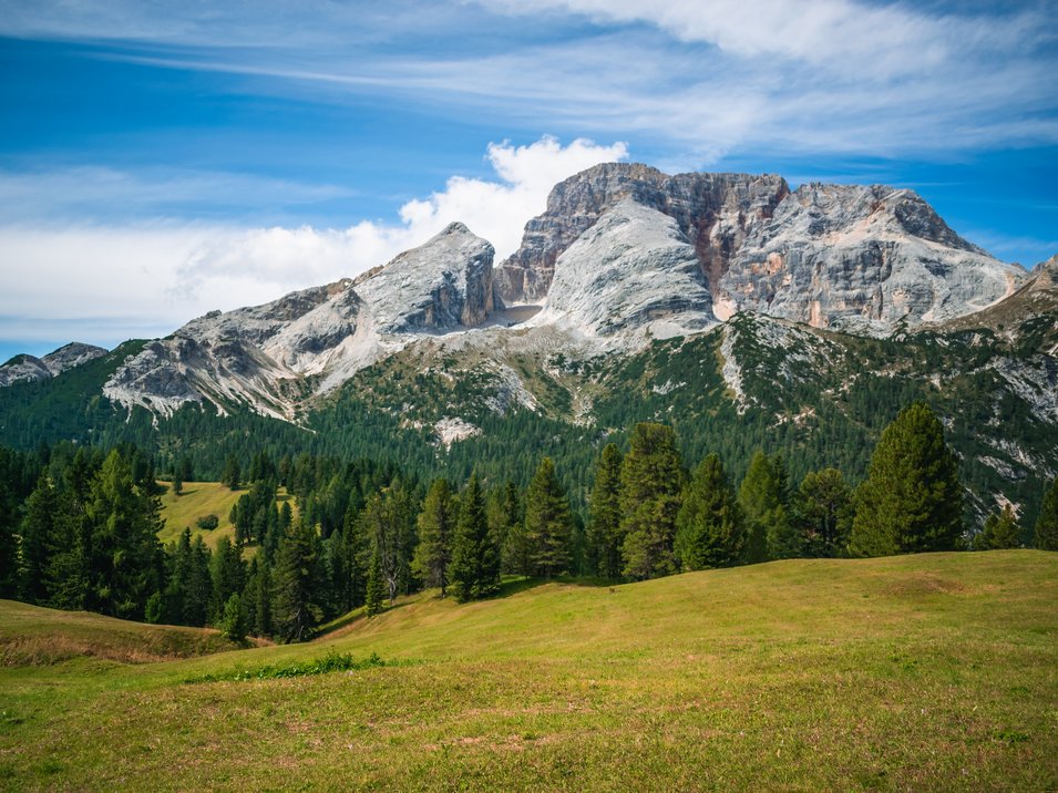 Prato Piazza: un gioiello della Val Pusteria Prato verde con conifere davanti a montagne rocciose sotto cielo azzurro