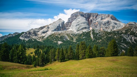 Prato Piazza: un gioiello della Val Pusteria Prato verde con conifere davanti a montagne rocciose sotto cielo azzurro