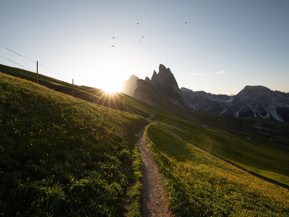 Un’estate sui Prati del Seceda Sentiero con prato e montagne al tramonto