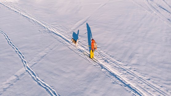 St.Jakob Leonhard Loipe Skifahrer mit Hund läuft durch verschneite Landschaft