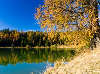 I laghi dell‘Alto Adige: meraviglie della natura Lago autunnale con alberi gialli e cielo blu limpido