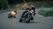 Hotel per motociclisti in Alto Adige Due motociclette che sfrecciano su una strada tortuosa circondata da alberi