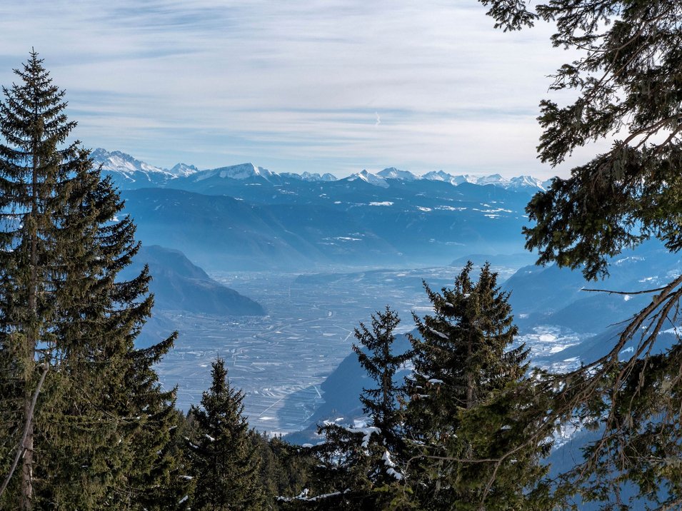 Der Gampenpass Blick auf ein Tal mit Bäumen und schneebedeckten Bergen im Hintergrund