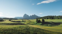 Hotel sulle Dolomiti Colline verdi con alberi e montagne sullo sfondo sotto un cielo limpido