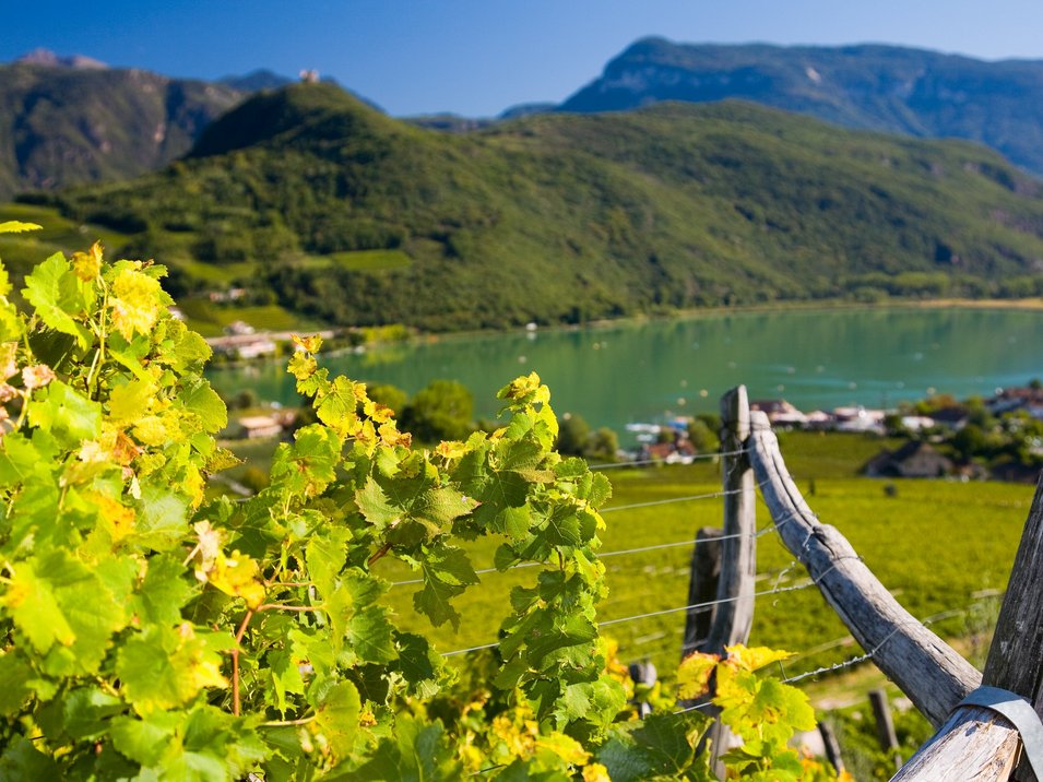 Lago di Caldaro sulla Strada del vino dell’Alto Adige Lago di Caldaro sulla Strada del vino dell’Alto Adige