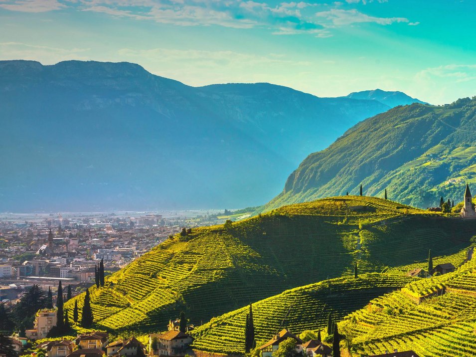 Hotel in Bozen gesucht? Finden Sie Ihre Traumunterkunft! Sonnige grüne Weinberge und Häuser vor Bergen und Stadt im Hintergrund