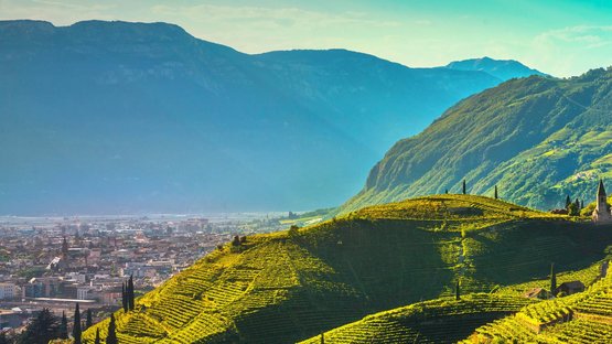 Hotel in Bozen gesucht? Finden Sie Ihre Traumunterkunft! Sonnige grüne Weinberge und Häuser vor Bergen und Stadt im Hintergrund