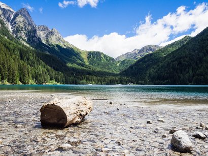 Escursione al Lago della Chiusetta Lago di montagna limpido con tronco di legno e sassi in primo piano, circondato da boschi