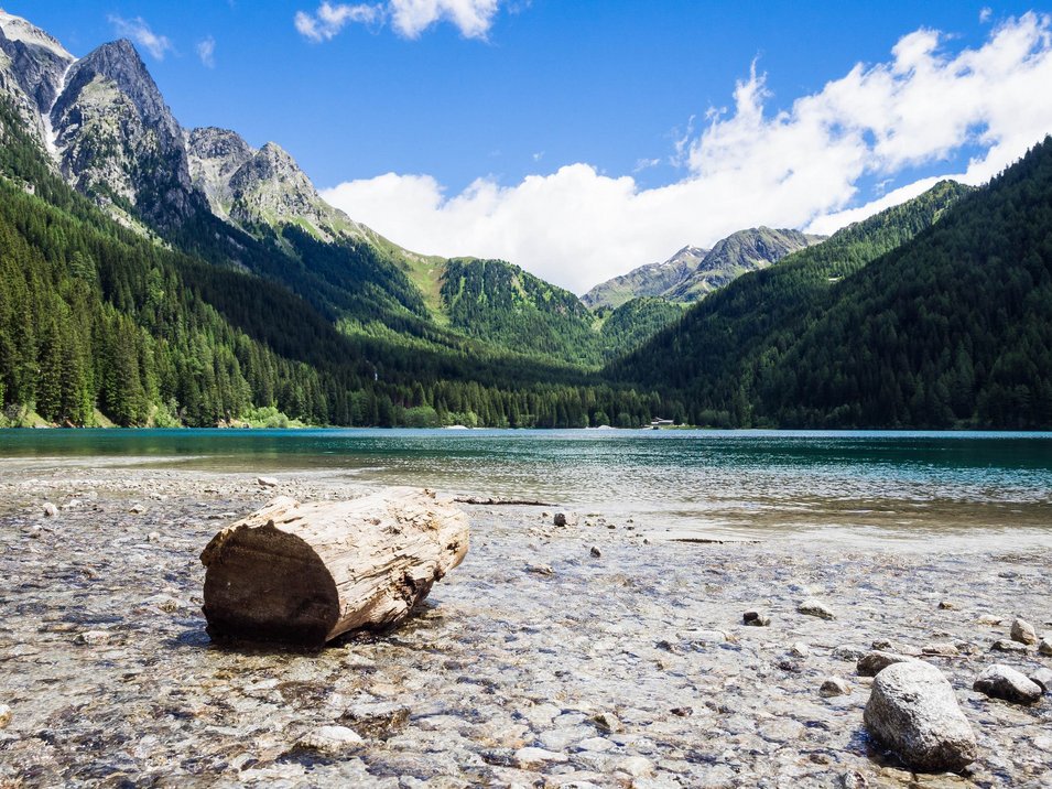 Parco naturale Ries-Aurina Lago di montagna limpido con tronco di legno e sassi in primo piano, circondato da boschi